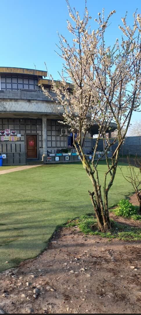 پیش دبستان و دبستان دخترانه هوشمند ریحانه