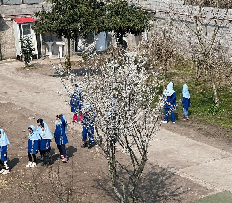 پیش دبستان و دبستان دخترانه هوشمند ریحانه